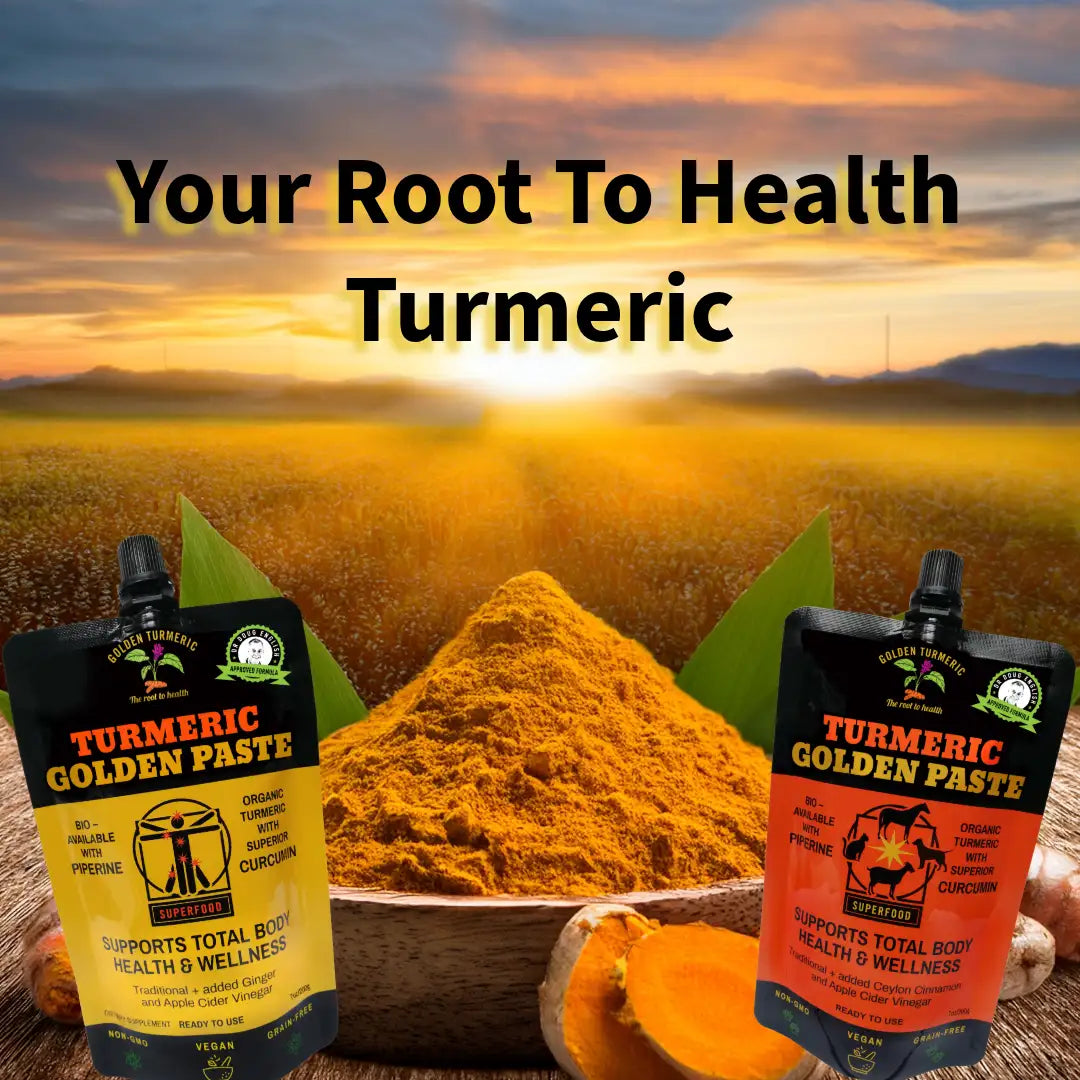 The Best Natural Remedy is Turmeric